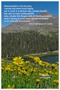Flower Photo Prints - Complete Set - Arnica