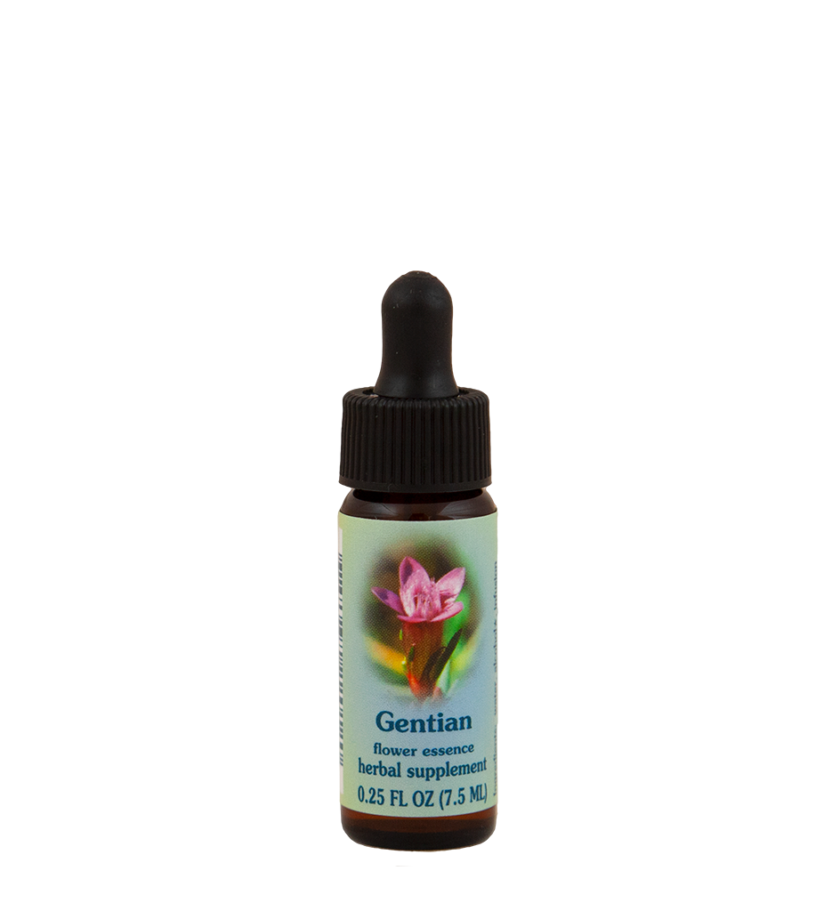 Gentian