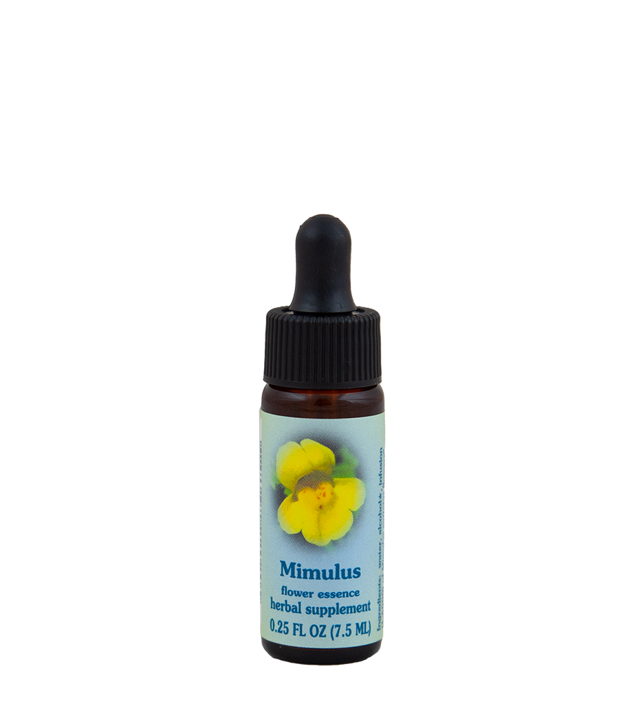 Mimulus