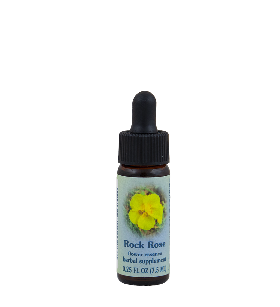 Rock Rose