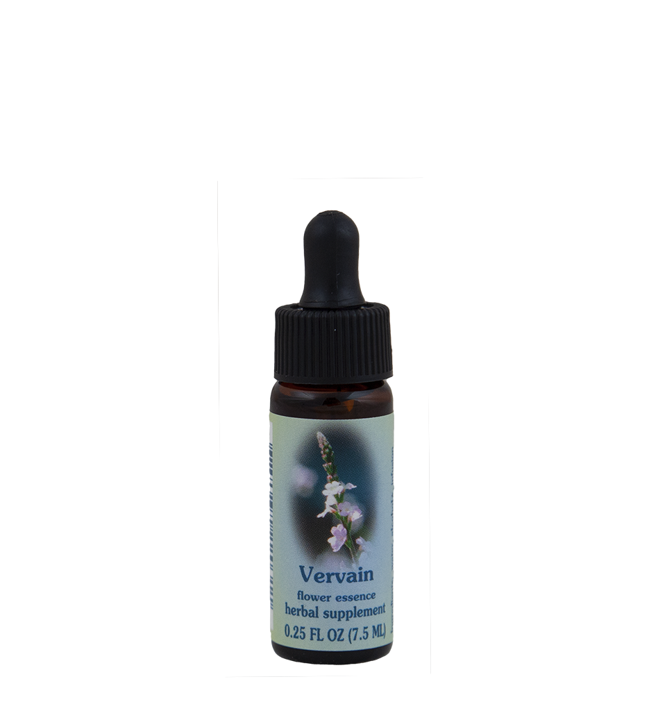 Vervain