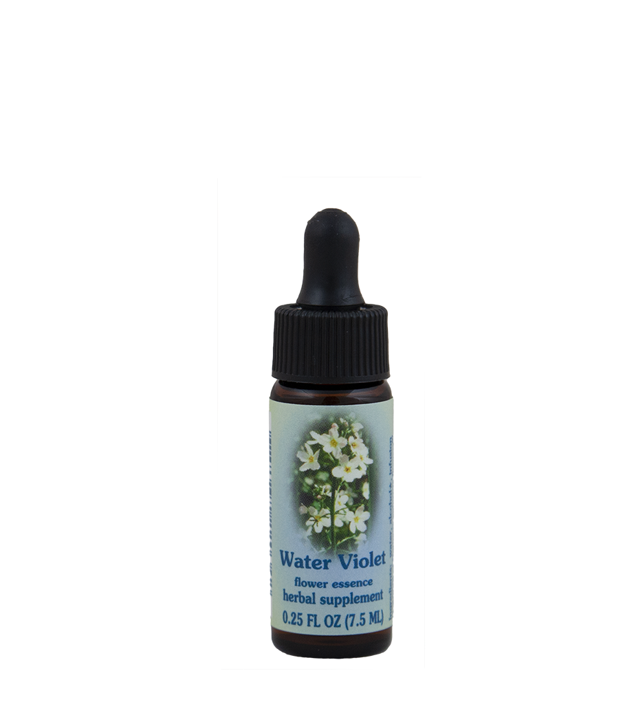 Water Violet