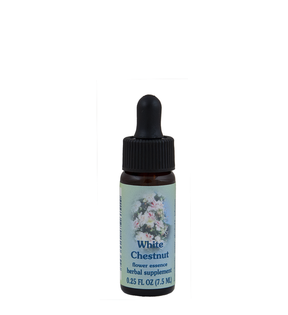 White Chestnut