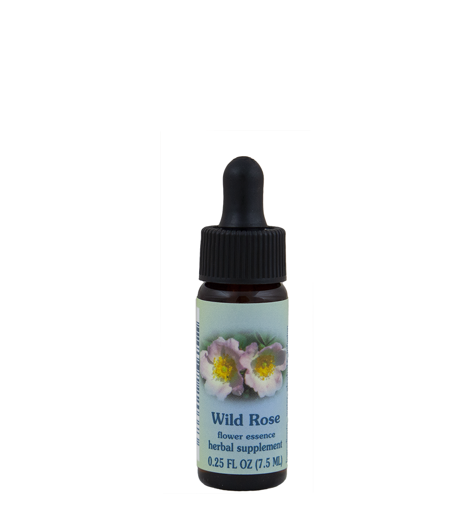 Wild Rose
