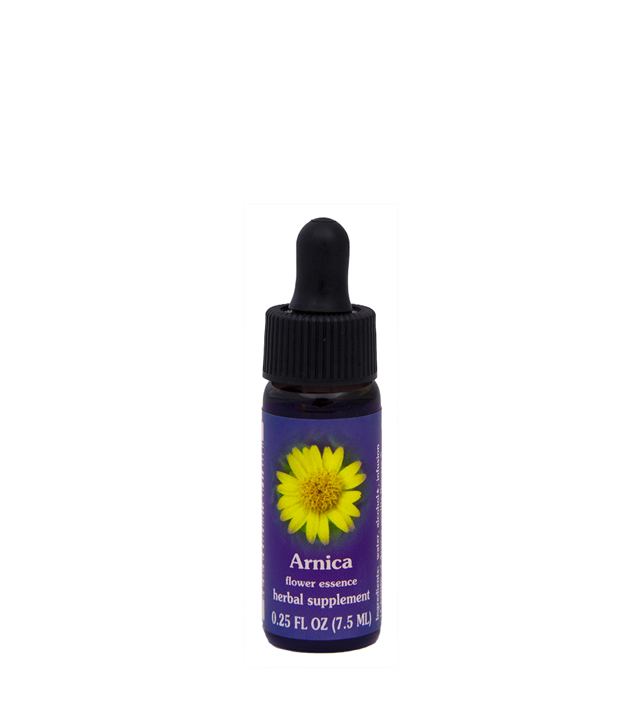 Arnica