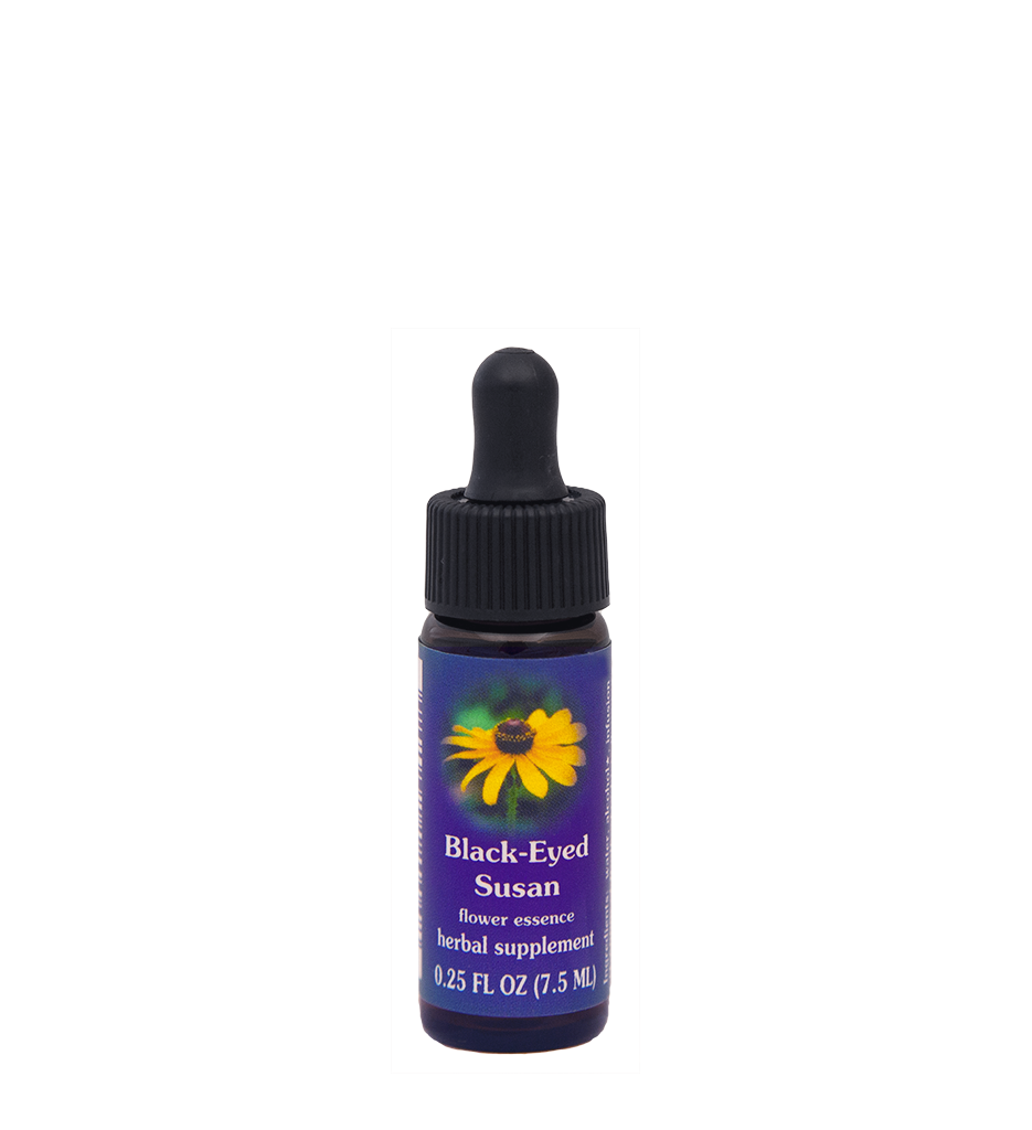 Black-Eyed Susan