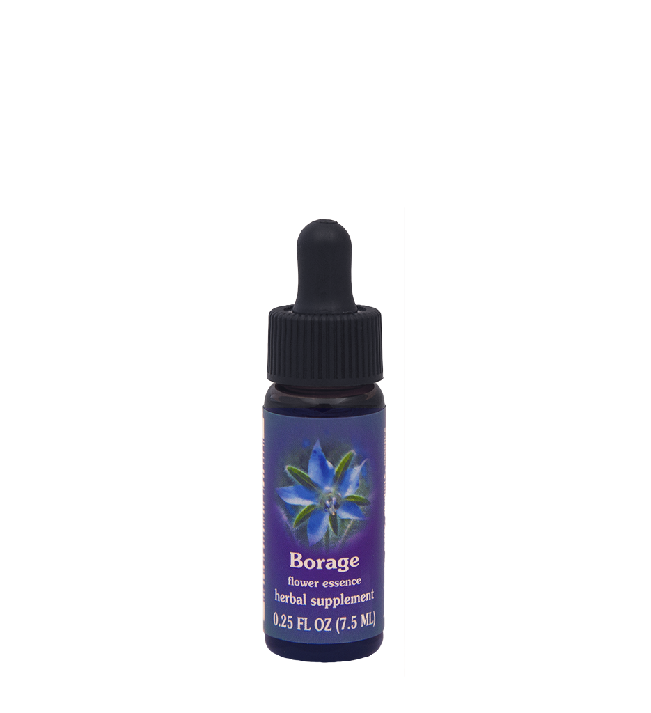 Borage