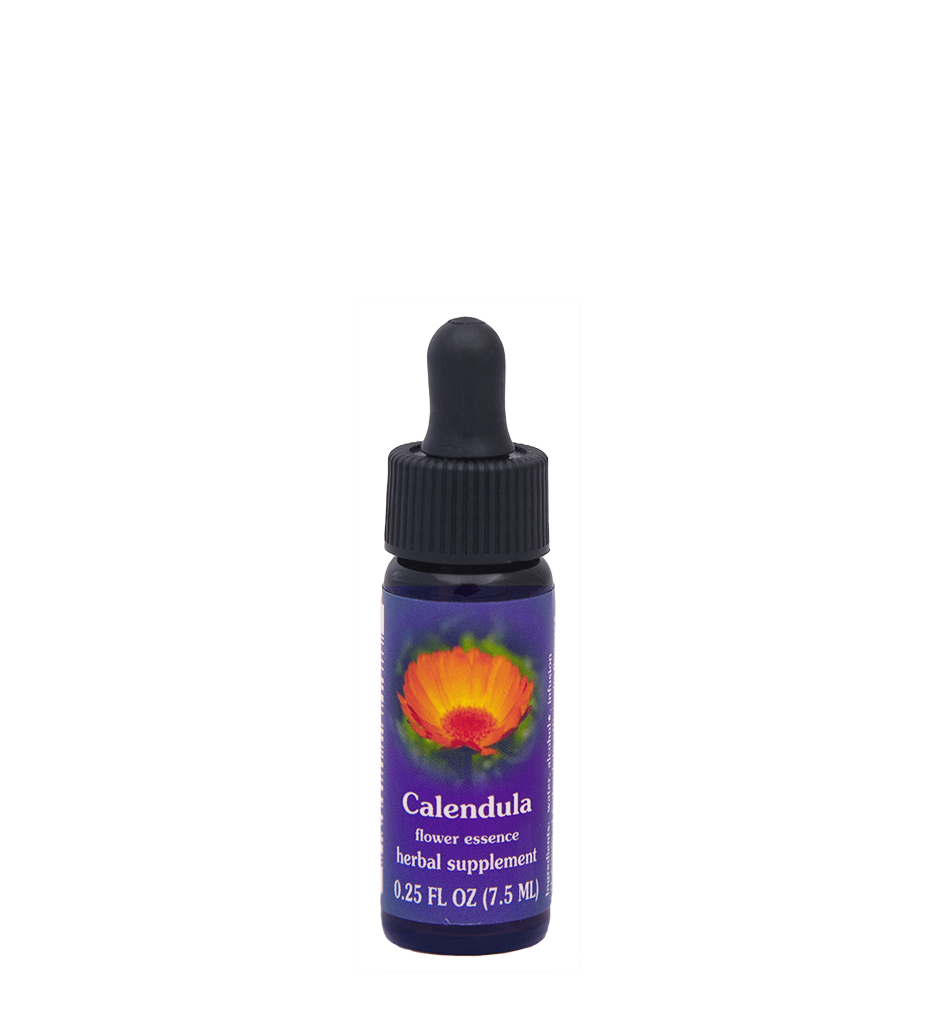 Calendula