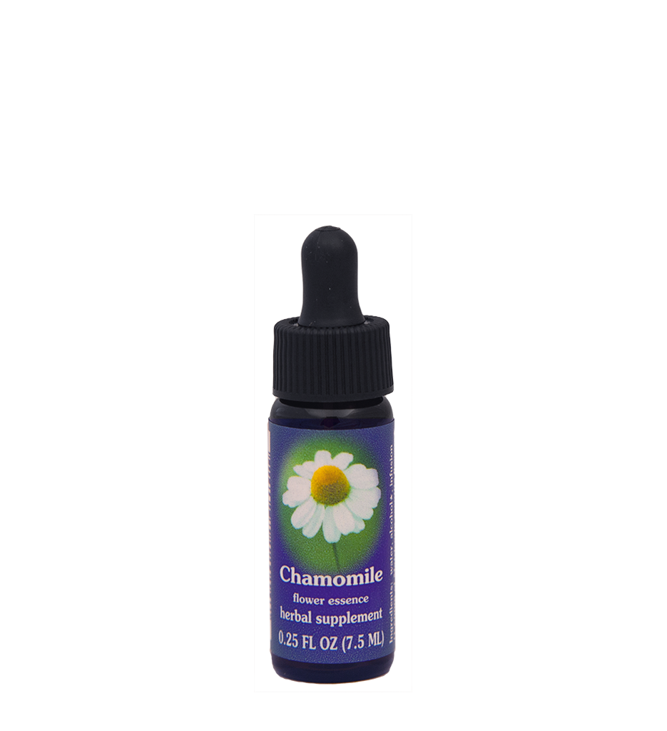 Chamomile