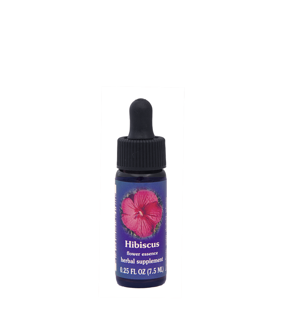 Hibiscus