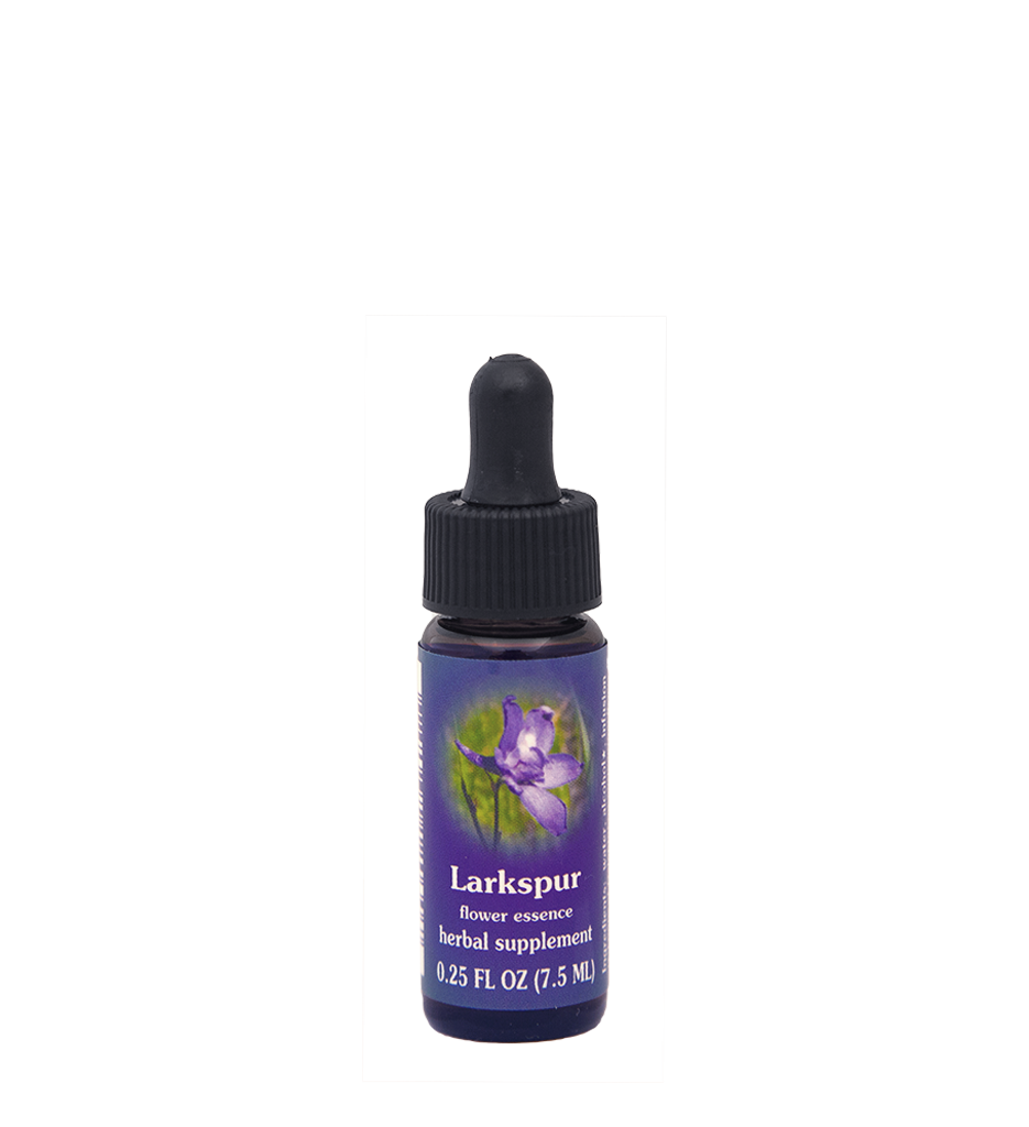Larkspur