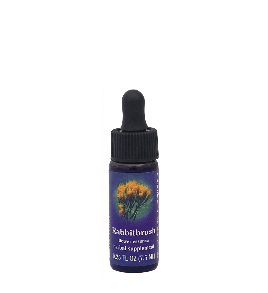 Rabbitbrush