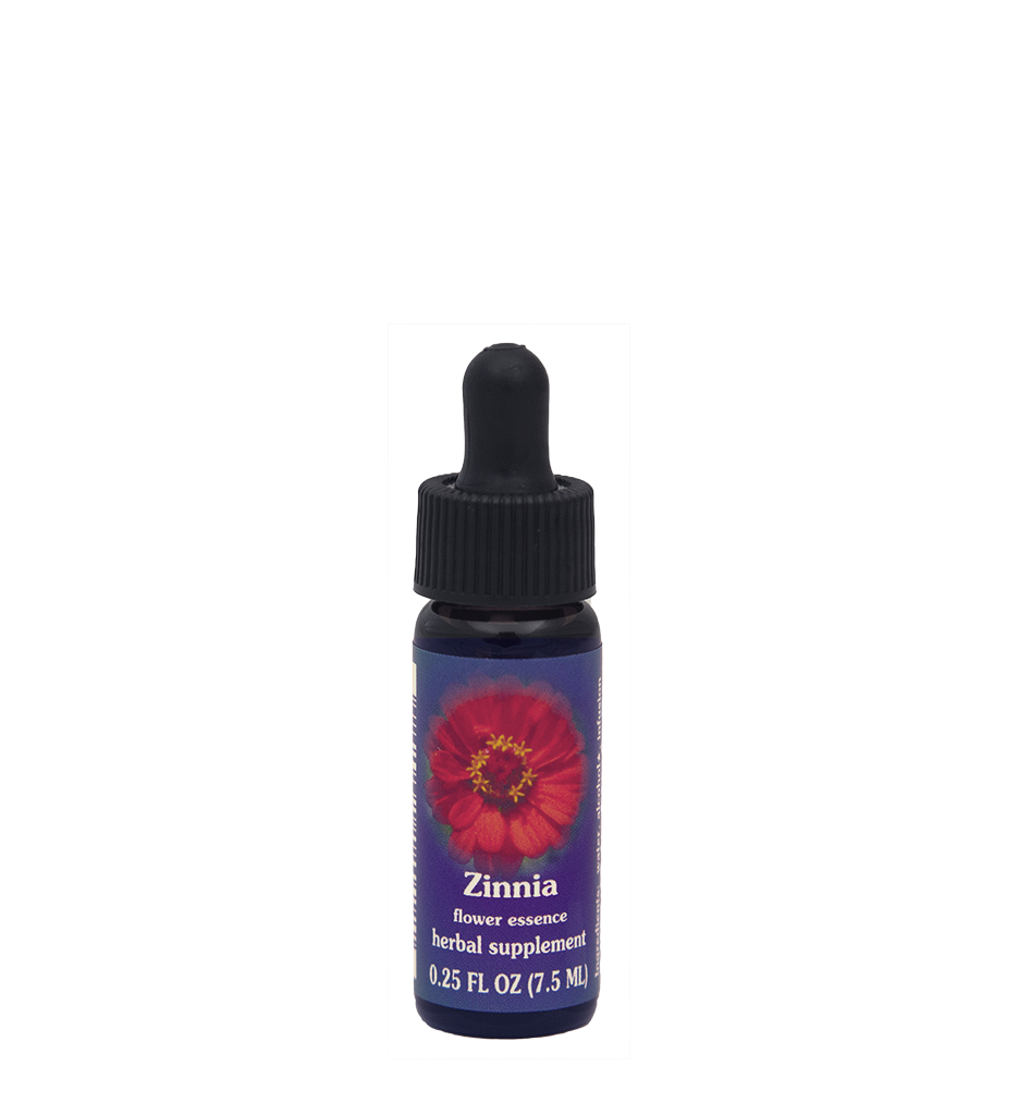 Zinnia