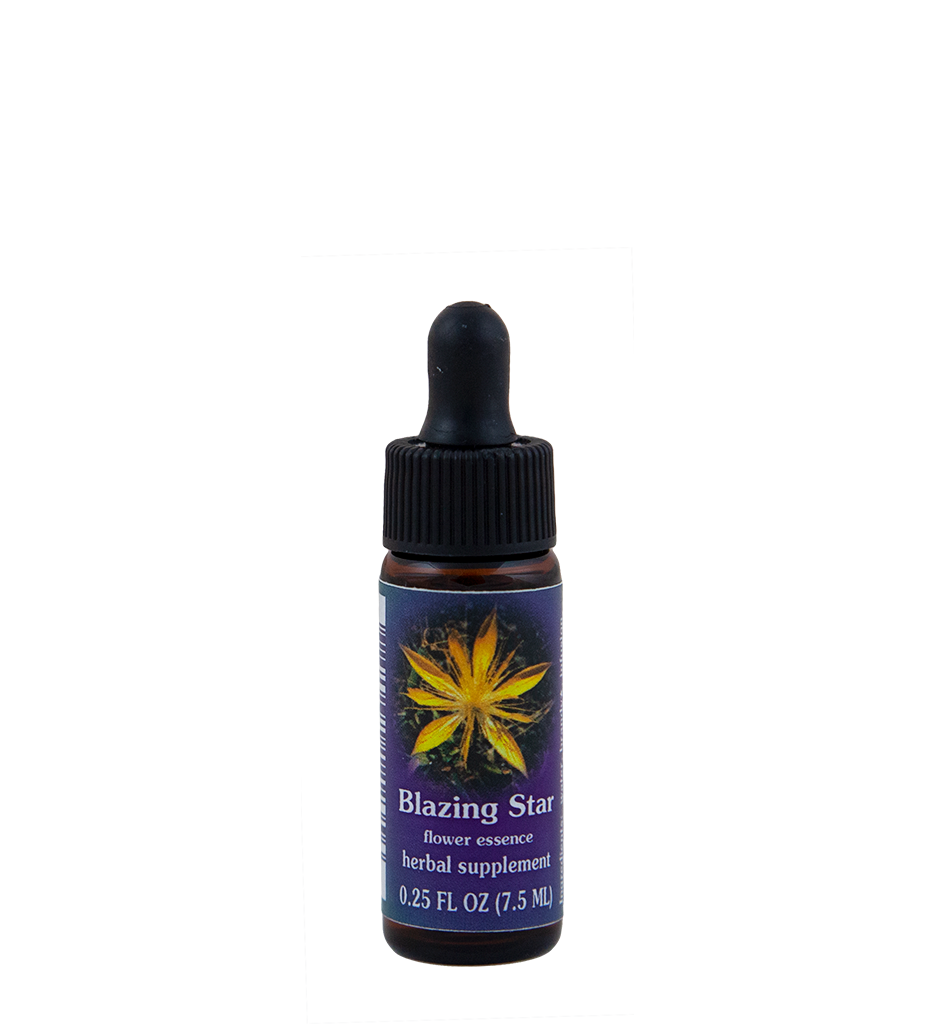Blazing Star