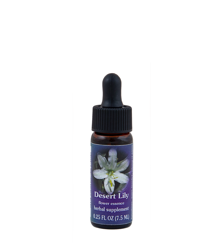 Desert Lily