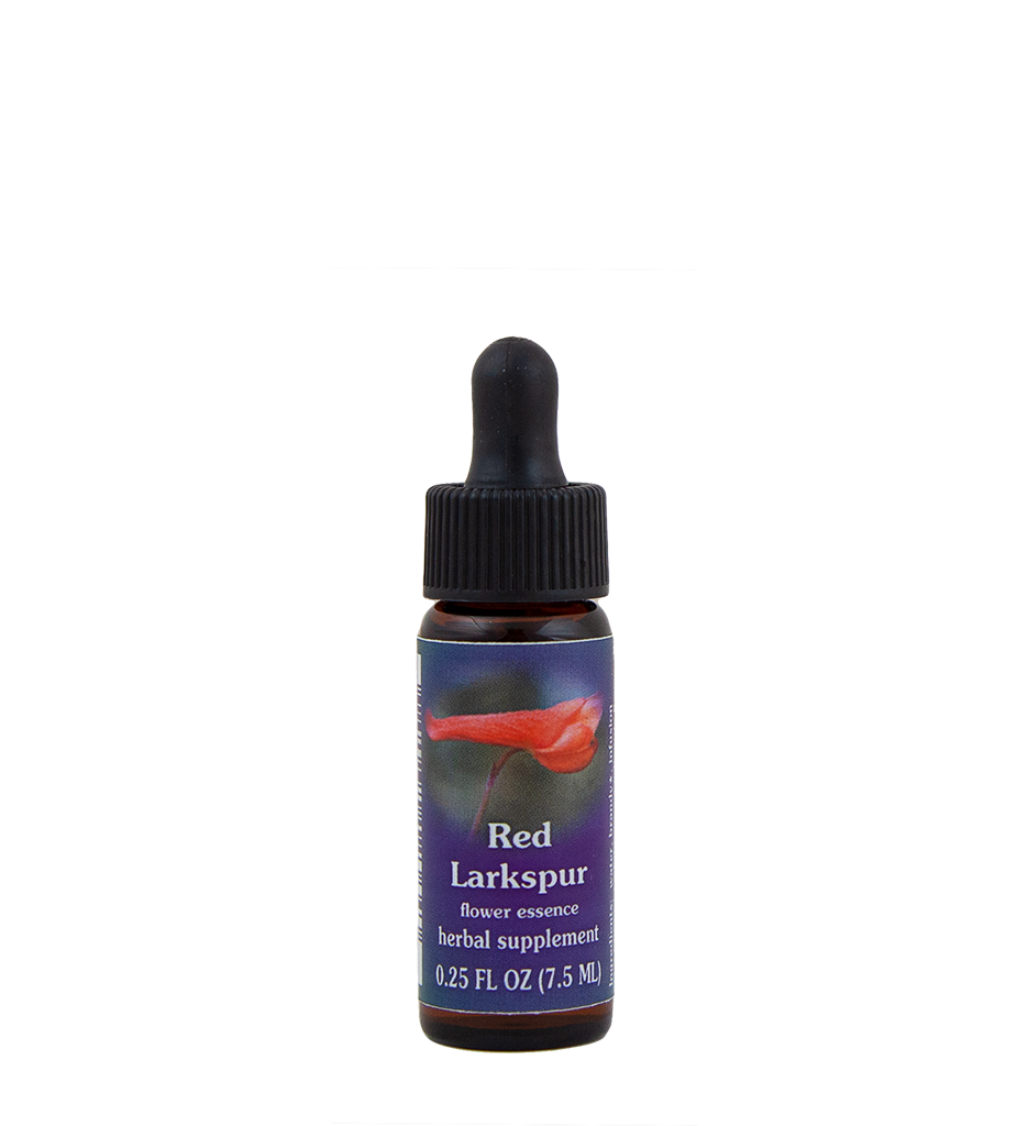 Red Larkspur