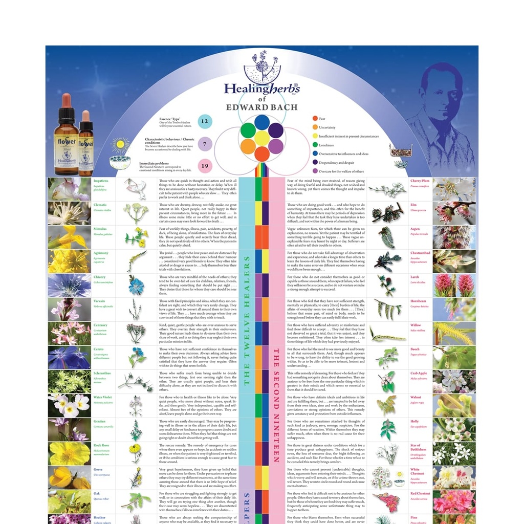 Poster - Healing Herbs