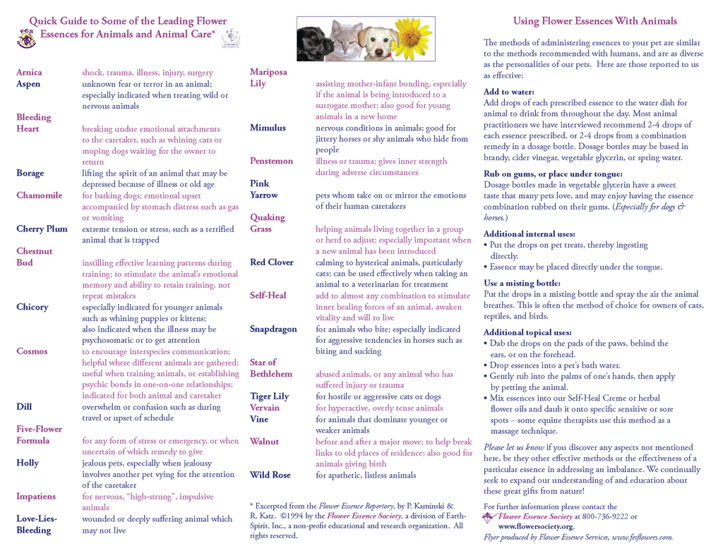 Animal Flyer