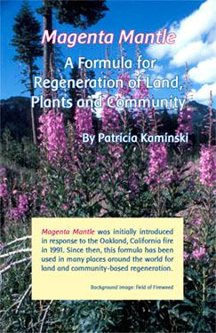 Magenta Mantle Brochure