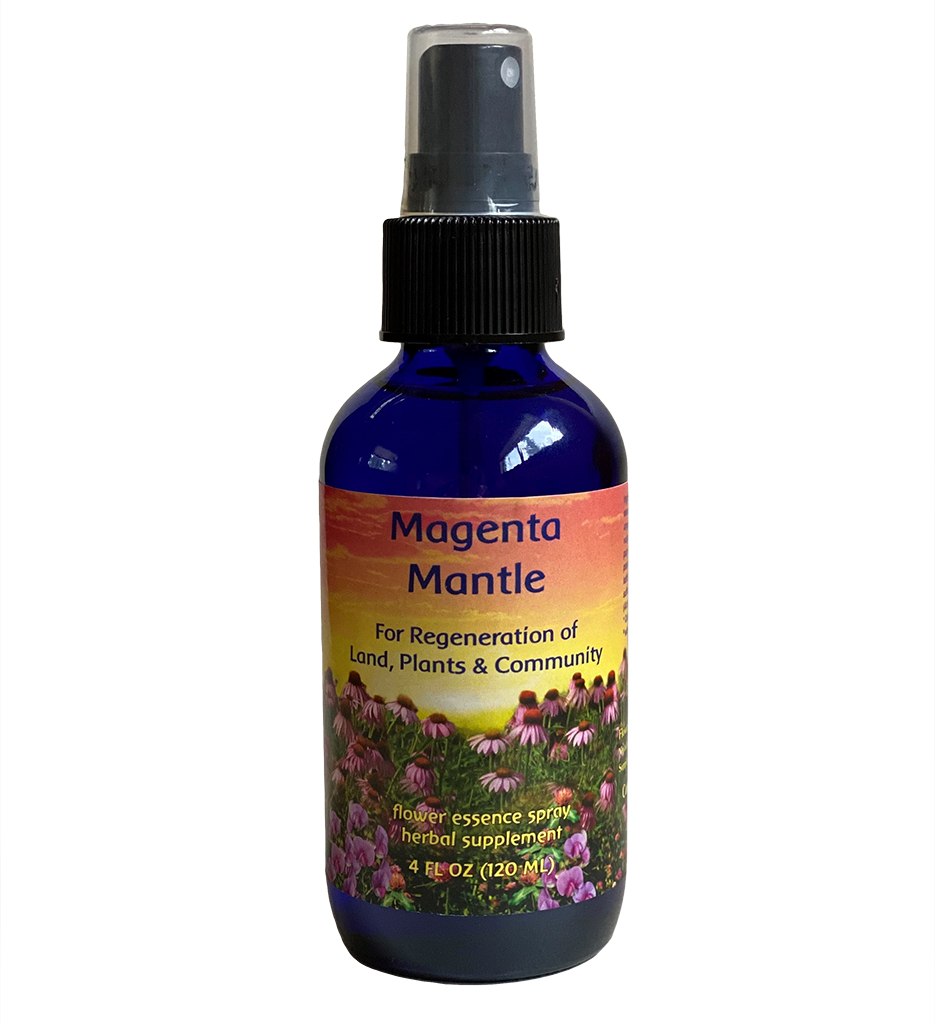 Magenta Mantle