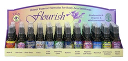 [DISPFLO] Flourish Cardboard Display for 48 bottles - empty