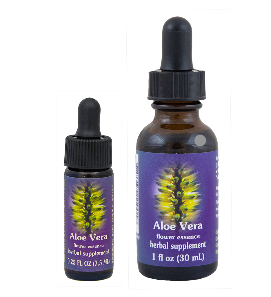 100 reines aloe vera gel bio Reiner Bio Aloe Vera Saft