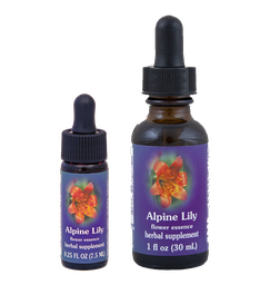 Alpine Lily