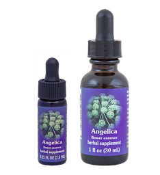 Angelica