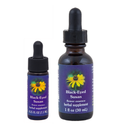 Black-Eyed Susan