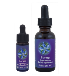 Borage