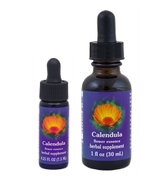 Calendula