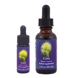 Corn