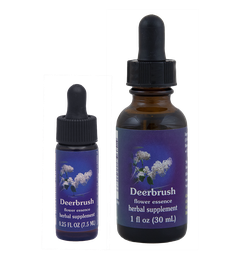 Deerbrush