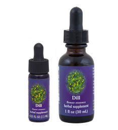 Dill