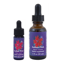 Indian Pink