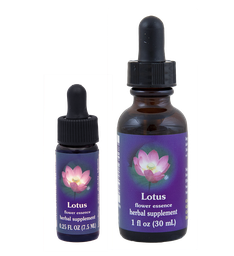 Lotus
