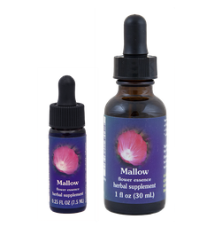 Mallow