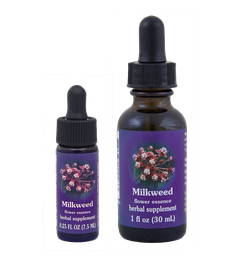 Milkweed