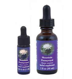 Mountain Pennyroyal