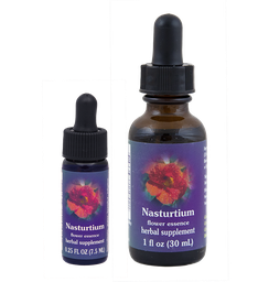Nasturtium