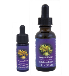Oregon Grape