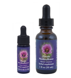 Purple Monkeyflower