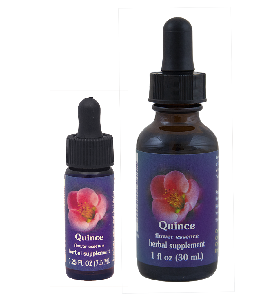 Quince | Flower Essence Services