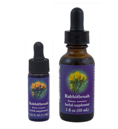 Rabbitbrush