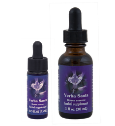 Yerba Santa