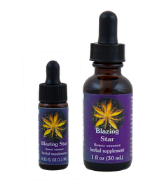 Blazing Star