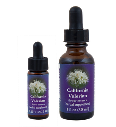 California Valerian
