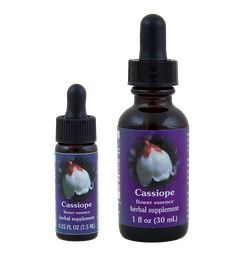 Cassiope