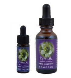 Corn Lily