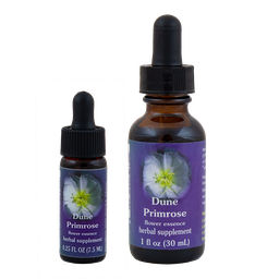 Dune Primrose